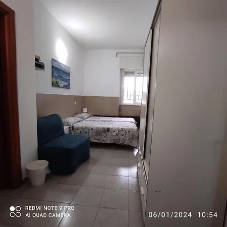 Coccinella 3*
