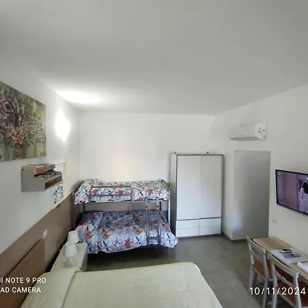 Coccinella 3*